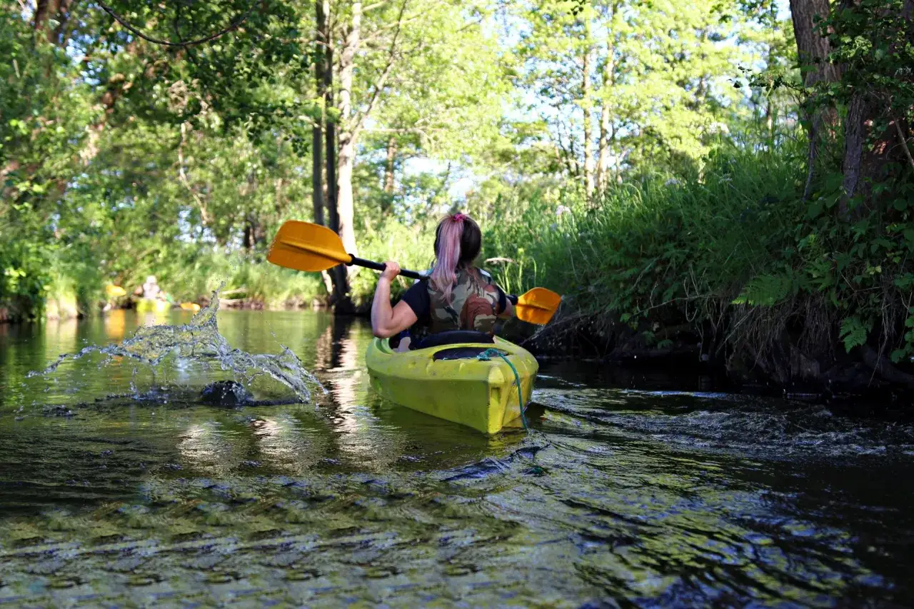 Spływ Piaśnicą: Cennik, organizacja i trasa zaplanuj przygodę!