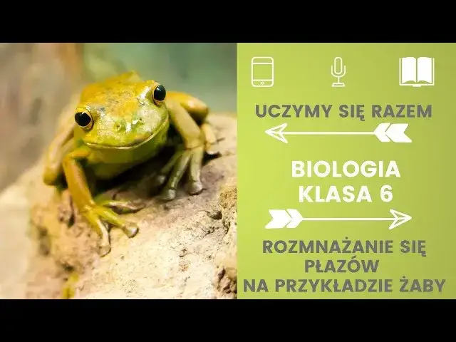 Jak rozmnażają się płazy? Zaskakujące fakty o ich cyklu życia