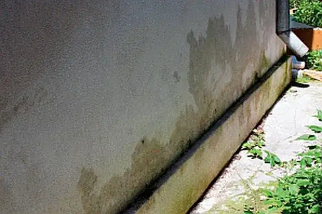 Jaki tynk do piwnicy wybrać, aby uniknąć problemów z wilgocią?