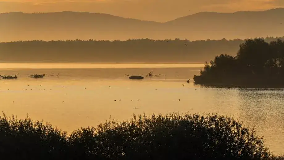 Odkryj uroki wypoczynku nad Jeziorem Goczałkowickim