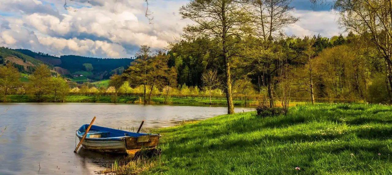 Gdzie na ryby koło Wrocławia? Odkryj najlepsze łowiska i gatunki ryb