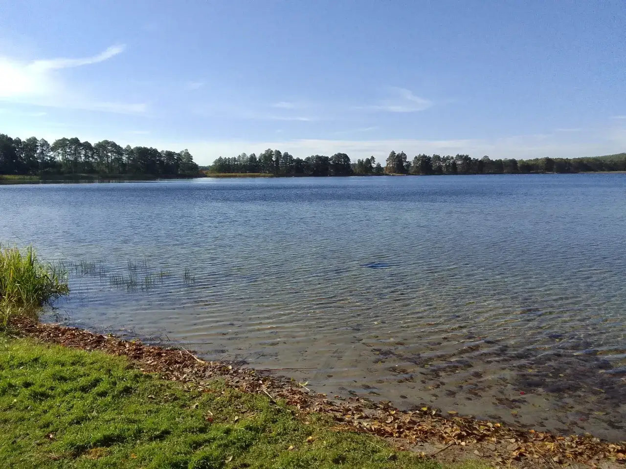 Jezioro Korytnickie - najlepsze miejsca na ryby i rekreację w okolicy