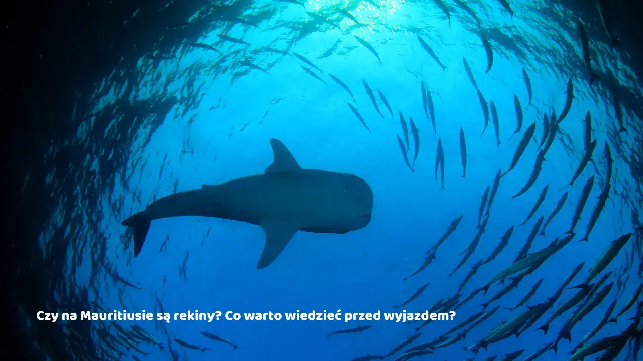 Mauritius czy jest bezpiecznie? Odkryj, co musisz wiedzieć przed wyjazdem