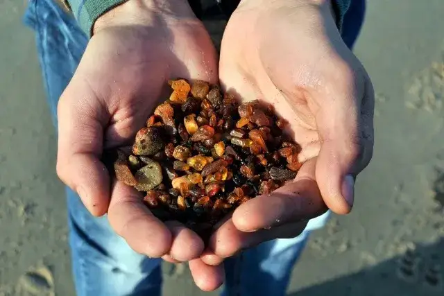 Gdzie szukać bursztynu nad Bałtykiem? Poradnik odkrywcy