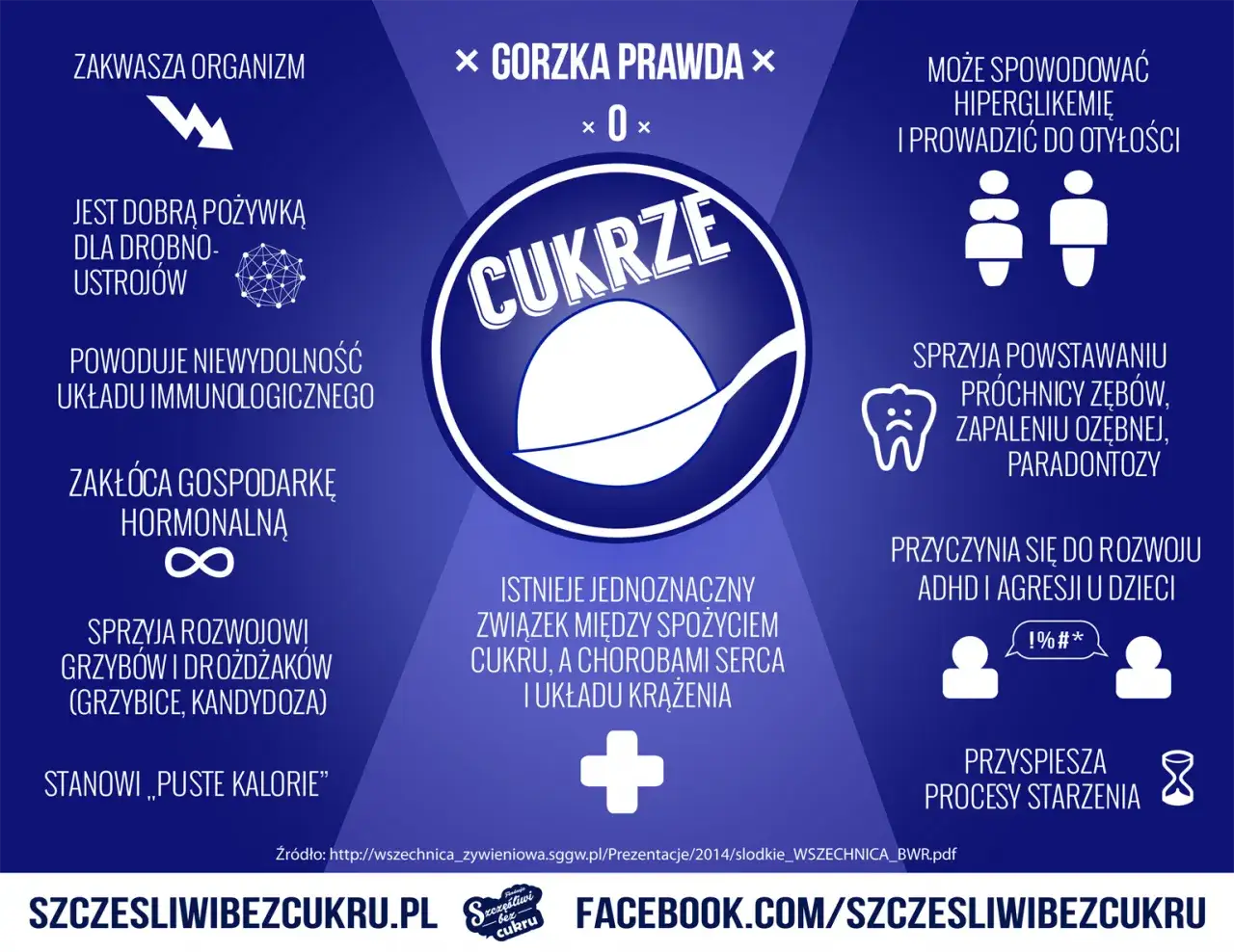 Cukier w diecie psa: dlaczego szkodzi i jak go unikać?