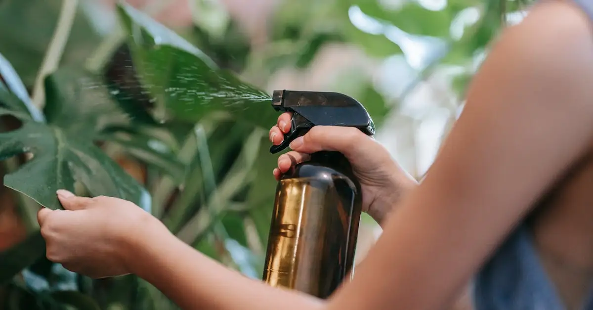  Doniczki ceramiczne białe - sprawdź najlepsze modele i promocje