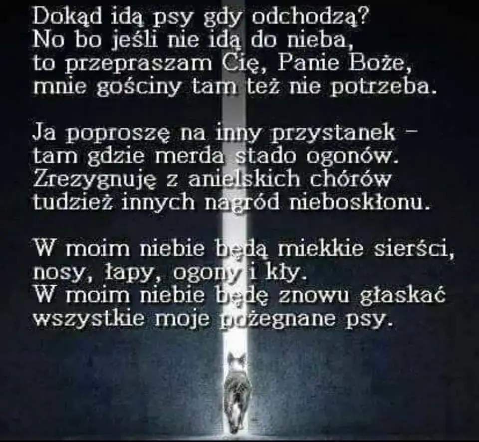 Jak pogodzić się ze śmiercią psa i znaleźć spokój w żalu