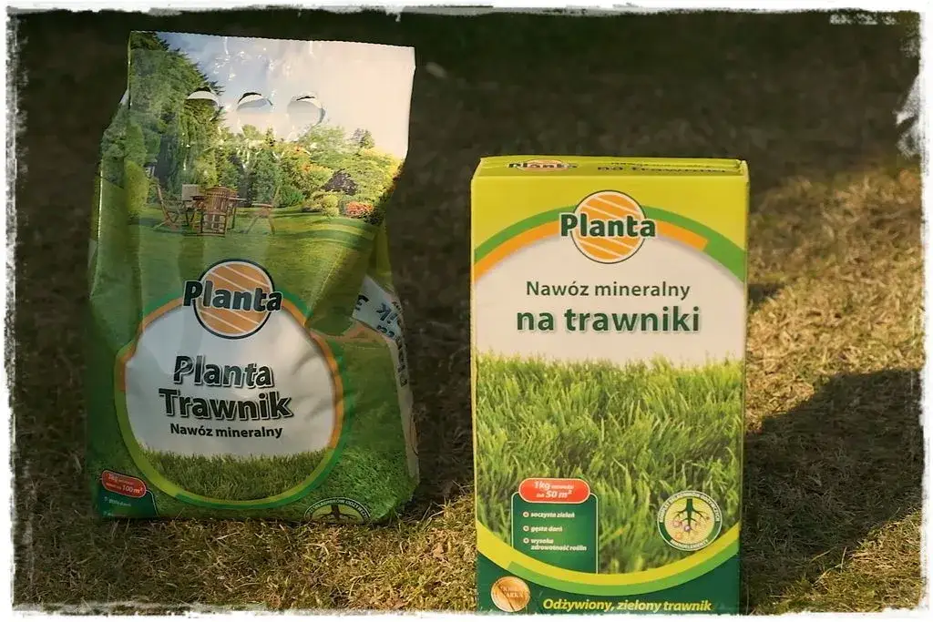 Jaki nawóz na trawnik wiosną, aby uniknąć błędów i uzyskać piękną zieleń