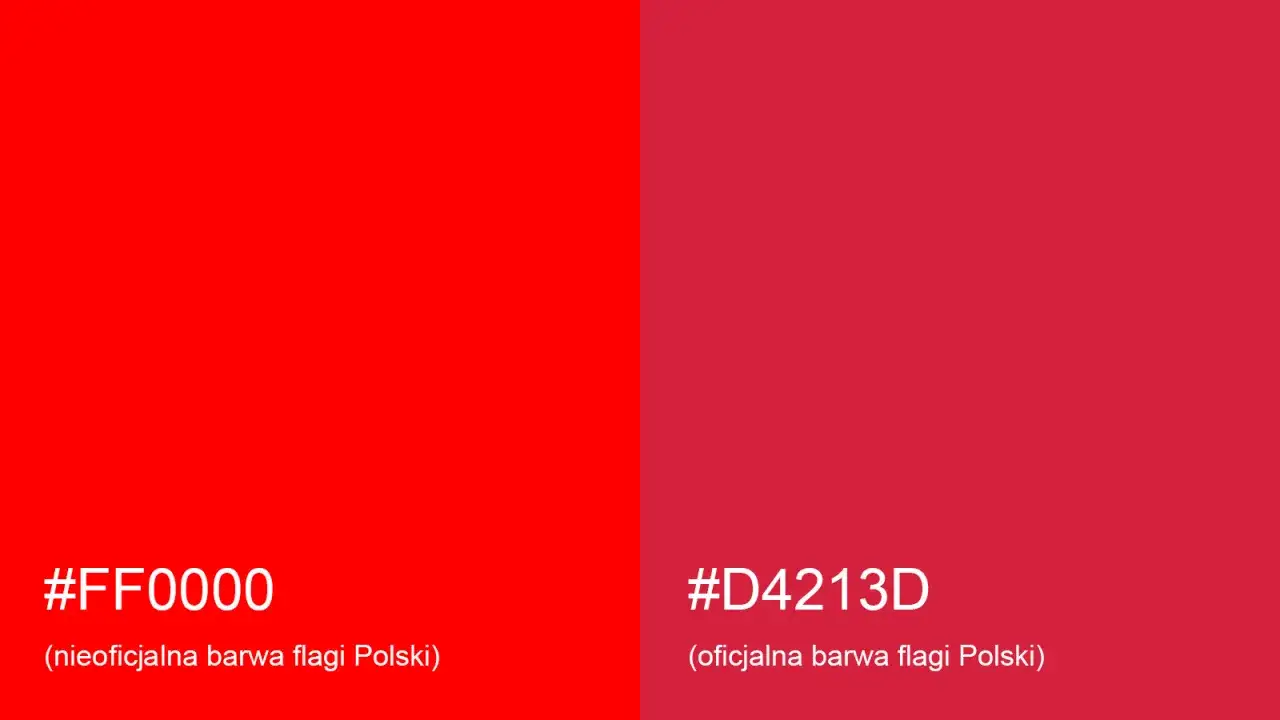 Jak wygląda flaga Polski? Kolory, proporcje i ich znaczenie