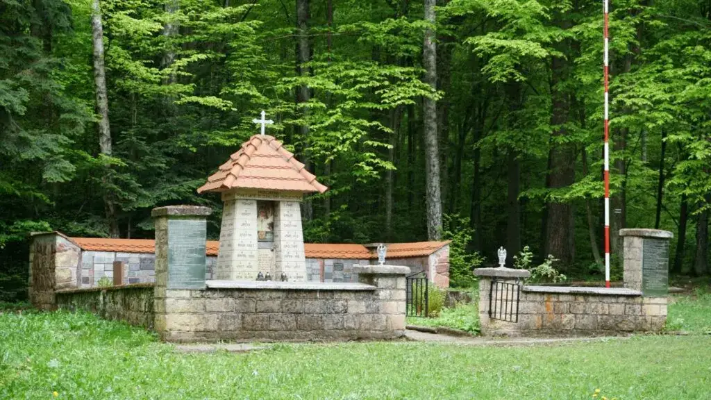 Rezerwat przyrody Wykus: piękno natury i historia partyzancka