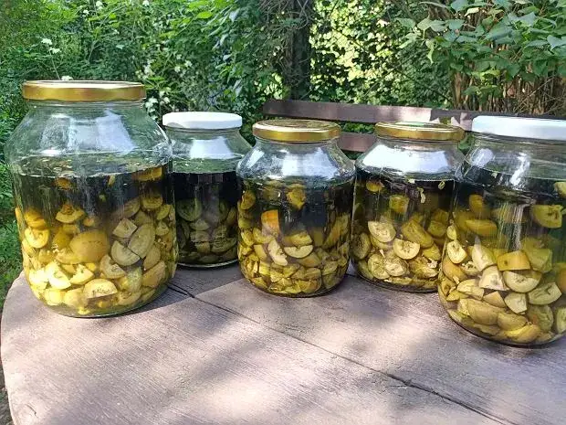 Sekrety orzechówki: na co pomaga i jak ją stosować bezpiecznie?