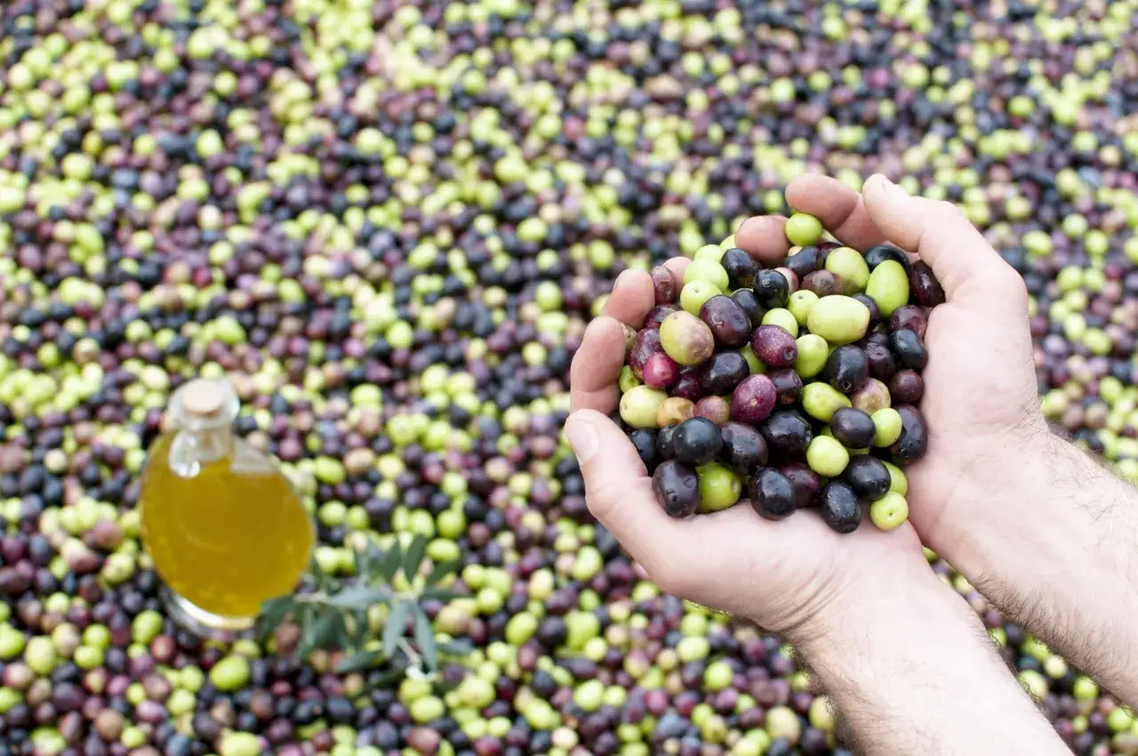 Czy oliwa się psuje? Oto objawy i sposoby na dłuższe przechowywanie