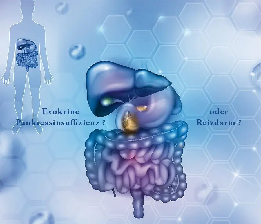 EPI Diagnose: Symptome, Tests & Ihr Weg zur Besserung