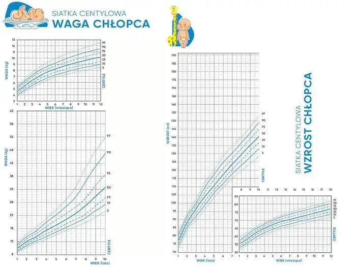Waga 11-latka: Normy, siatki centylowe i BMI. Sprawdź, czy Twoje dziecko jest w normie.