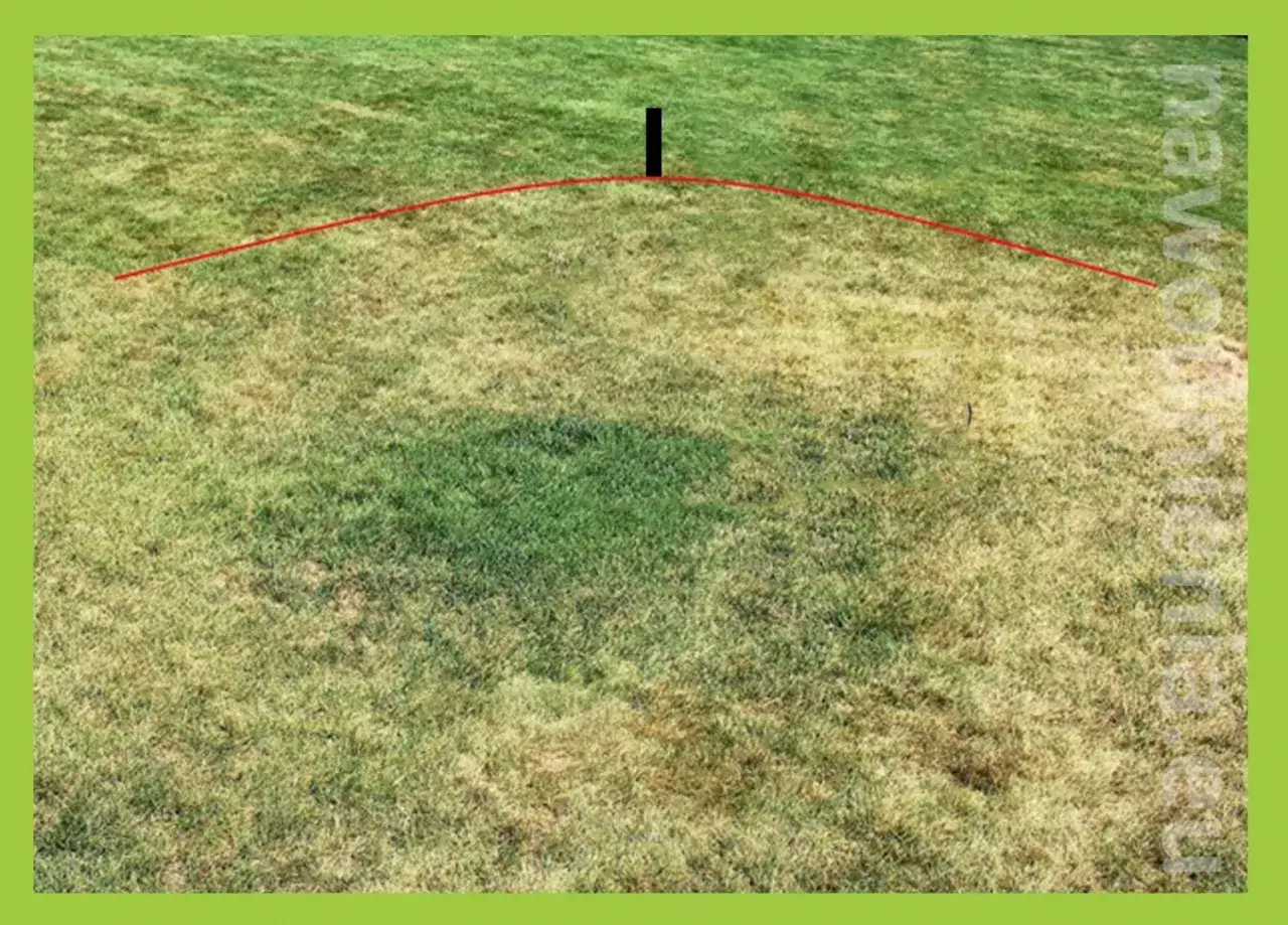 Ile zraszaczy na sekcji? Precyzyjne obliczenia dla Twojego ogrodu.