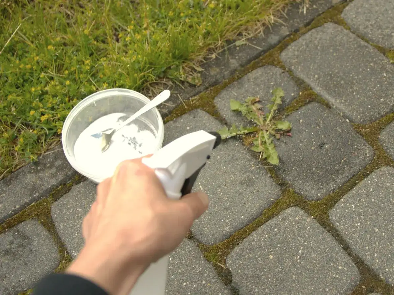 Skuteczne metody na chwasty na chodniku - pozbądź się ich raz na zawsze