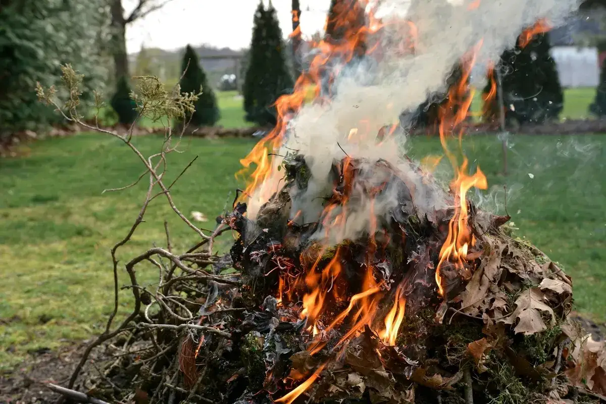 Ognisko z liści i gałęzi płonie na trawniku, unosząc dym.