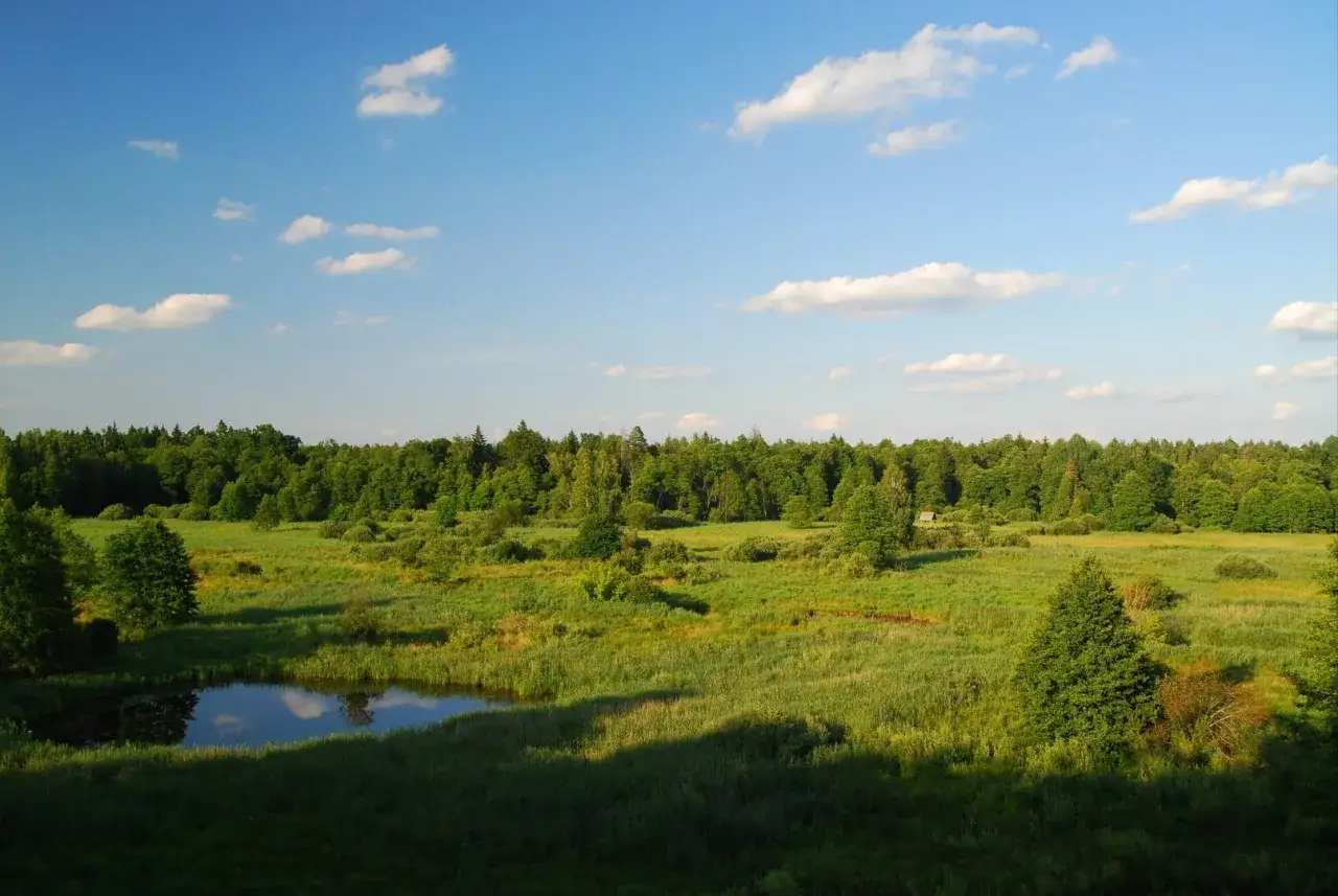 Rezerwaty przyrody nad Wisłą: odkryj dzikie skarby blisko Warszawy