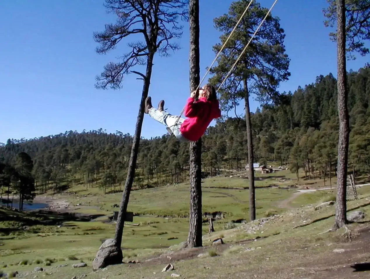 Jak zawiesić huśtawkę między drzewami bezpiecznie i łatwo?