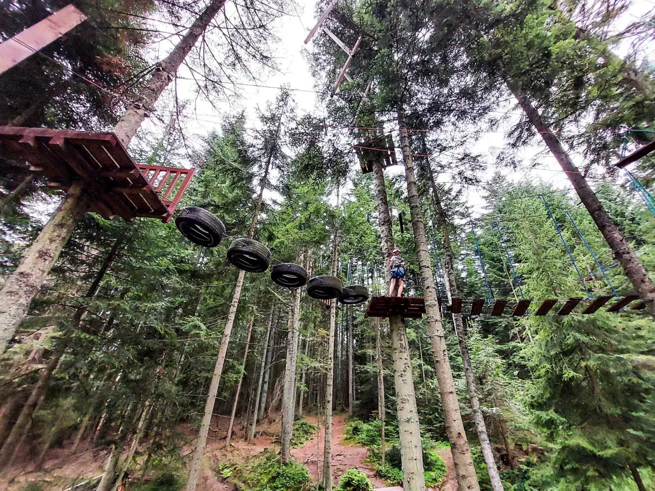 Park linowy Siary – wyjątkowe atrakcje i trasy dla każdego