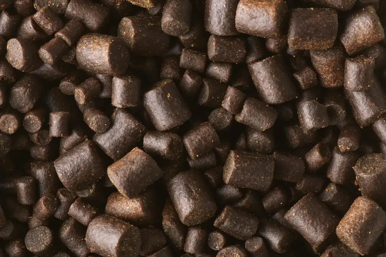 Granulat do zanęty na ryby. Dowiedz się, jak zrobić domową zanętę, która przyciągnie ławice.