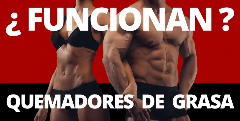Quema grasa y define: Suplementos con evidencia que sí funcionan