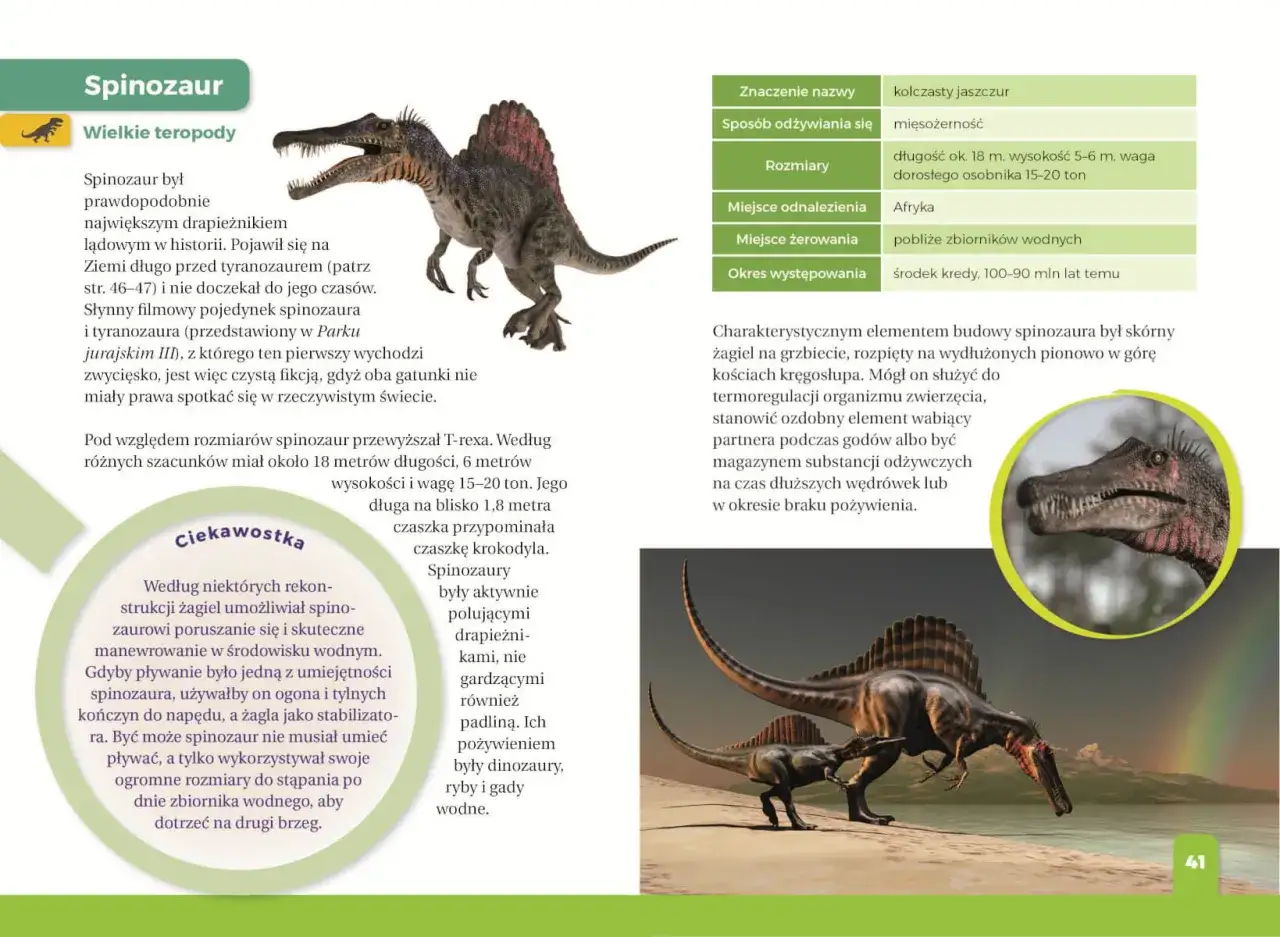Ilustrowany atlas dinozaurów: przewodnik po najlepszych książkach