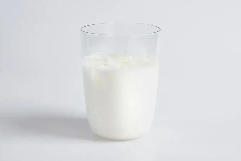 Mleko bez laktozy nie jest wegańskie! Poznaj fakty