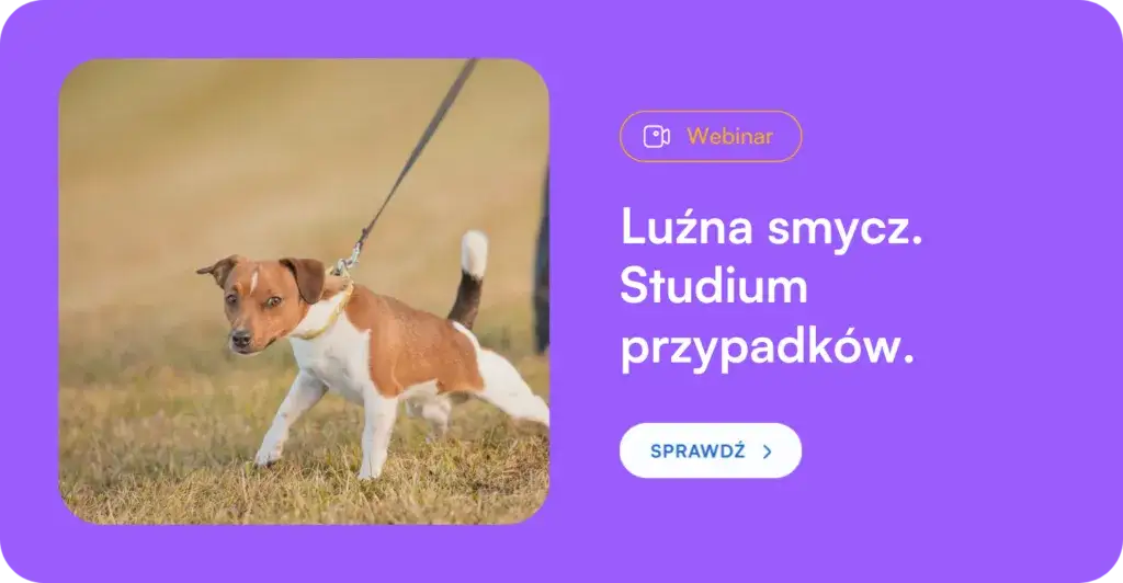Jak wytresować psa żeby się słuchał – sprawdzone metody i porady