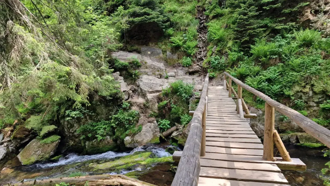 Drewniany mostek nad potokiem w skalistej, zalesionej dolinie Białej Opawy.