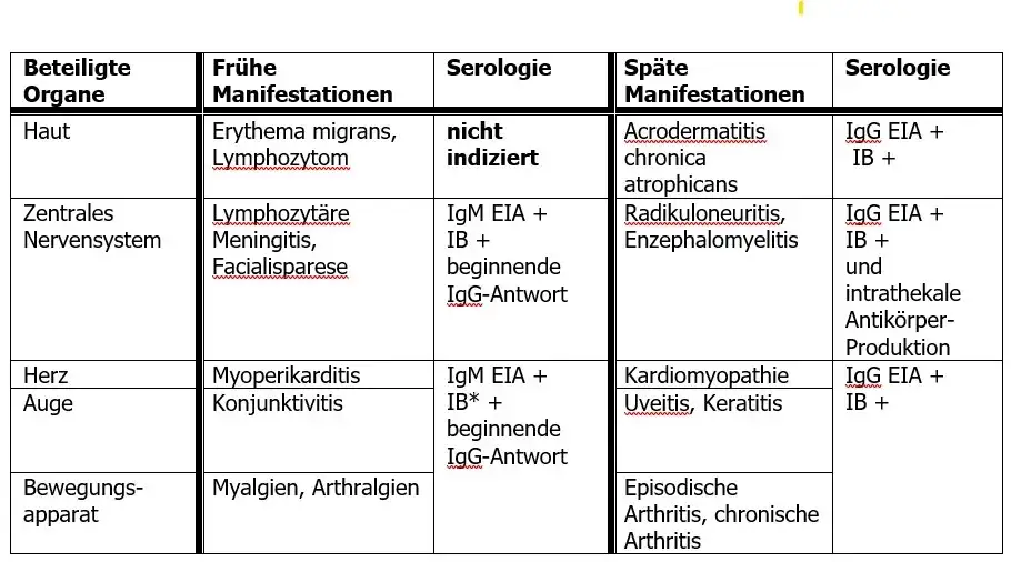 Borrelien Blutuntersuchung: Wichtige Informationen zur Diagnose von Lyme-Borreliose