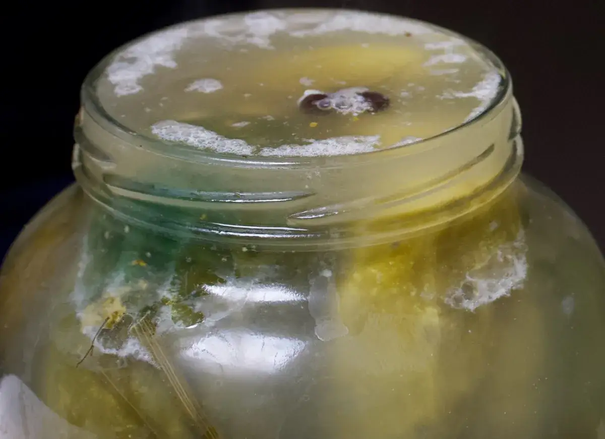 Co daje gorczyca w ogórkach kiszonych? Smak, zdrowie i konserwacja