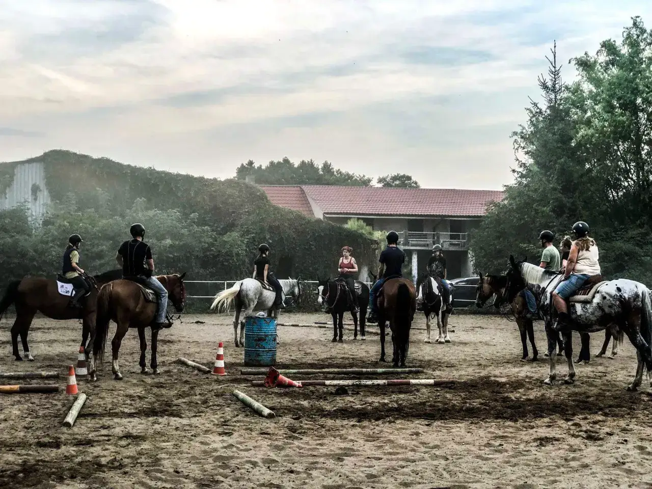 Najlepsze stadniny koni koło Poznania: Jak wybrać idealną?
