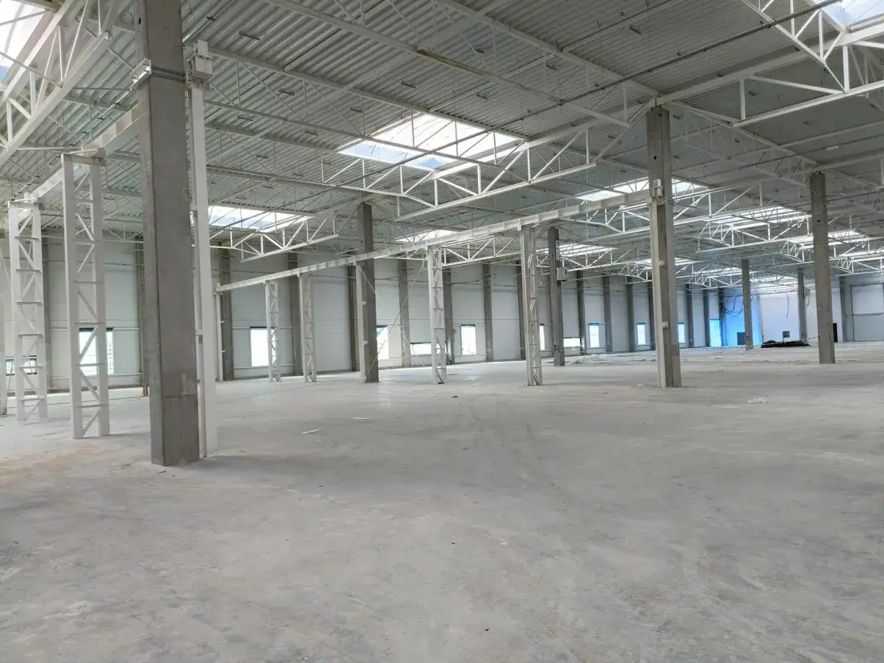 Wnętrze nowej hali magazynowej, betonowe słupy i stalowa konstrukcja dachu. Projekt hali magazynowej w trakcie realizacji.