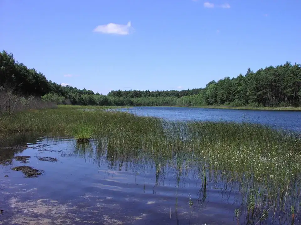 Jezioro Imielińskie: unikalny ekosystem i zagrożenia dla przyrody
