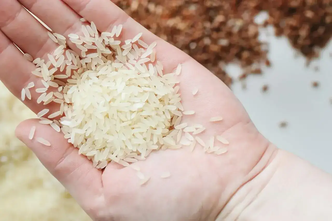Ryż dla jelit: Przyjaciel czy wróg? Jak jeść, by wspierać zdrowie.