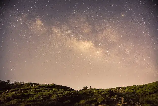 Czy Pandora jest modna? Sprawdź, dlaczego wciąż przyciąga uwagę