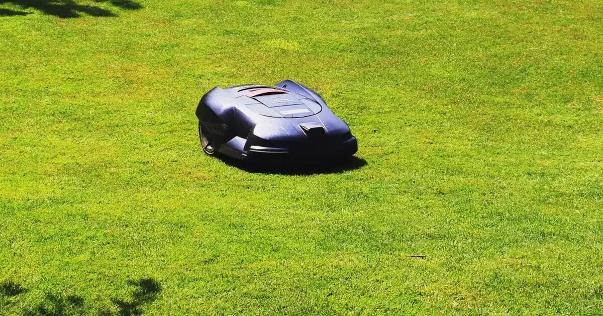 Quel robot tondeuse sans fil périphérique choisir pour un jardin parfait