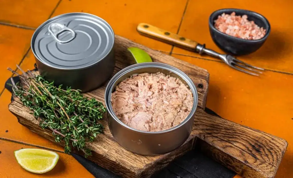 Czy pies może jeść tuńczyka z puszki? Sprawdź, co musisz wiedzieć