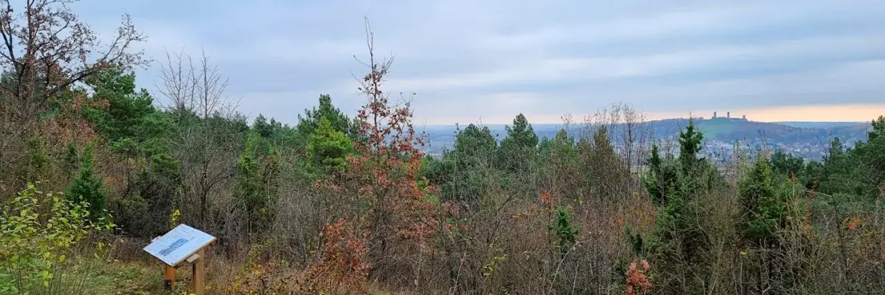 Rezerwat przyrody Góra Zelejowa – odkryj unikalne formy krasowe i faunę