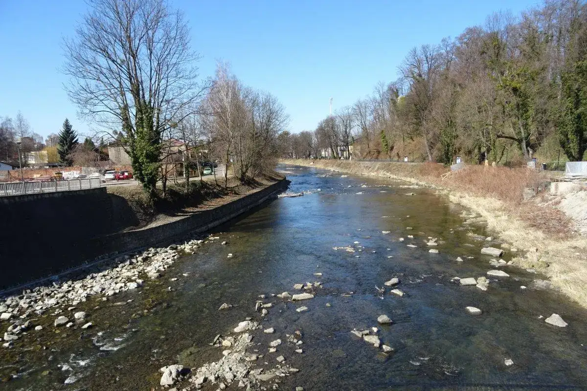 Spacer po Cieszynie? Zobacz malowniczą rzekę Olzę z kamienistym dnem i drzewami wzdłuż brzegu.
