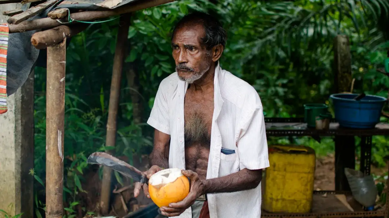 Mężczyzna na Sri Lance przygotowuje kokosa. Taki napój to świetny sposób na orzeźwienie i poznanie smaków wyspy.