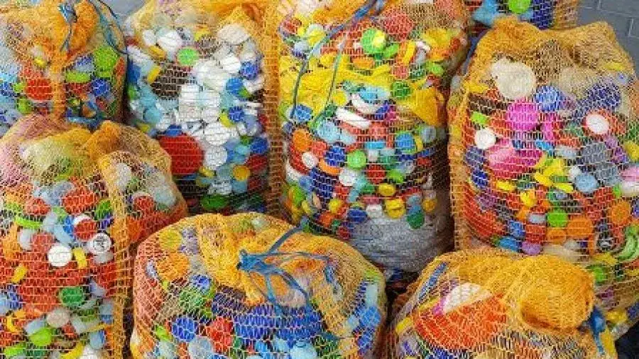 Ile kosztują nakrętki w skupie? Sprawdź aktualne ceny i zarobki