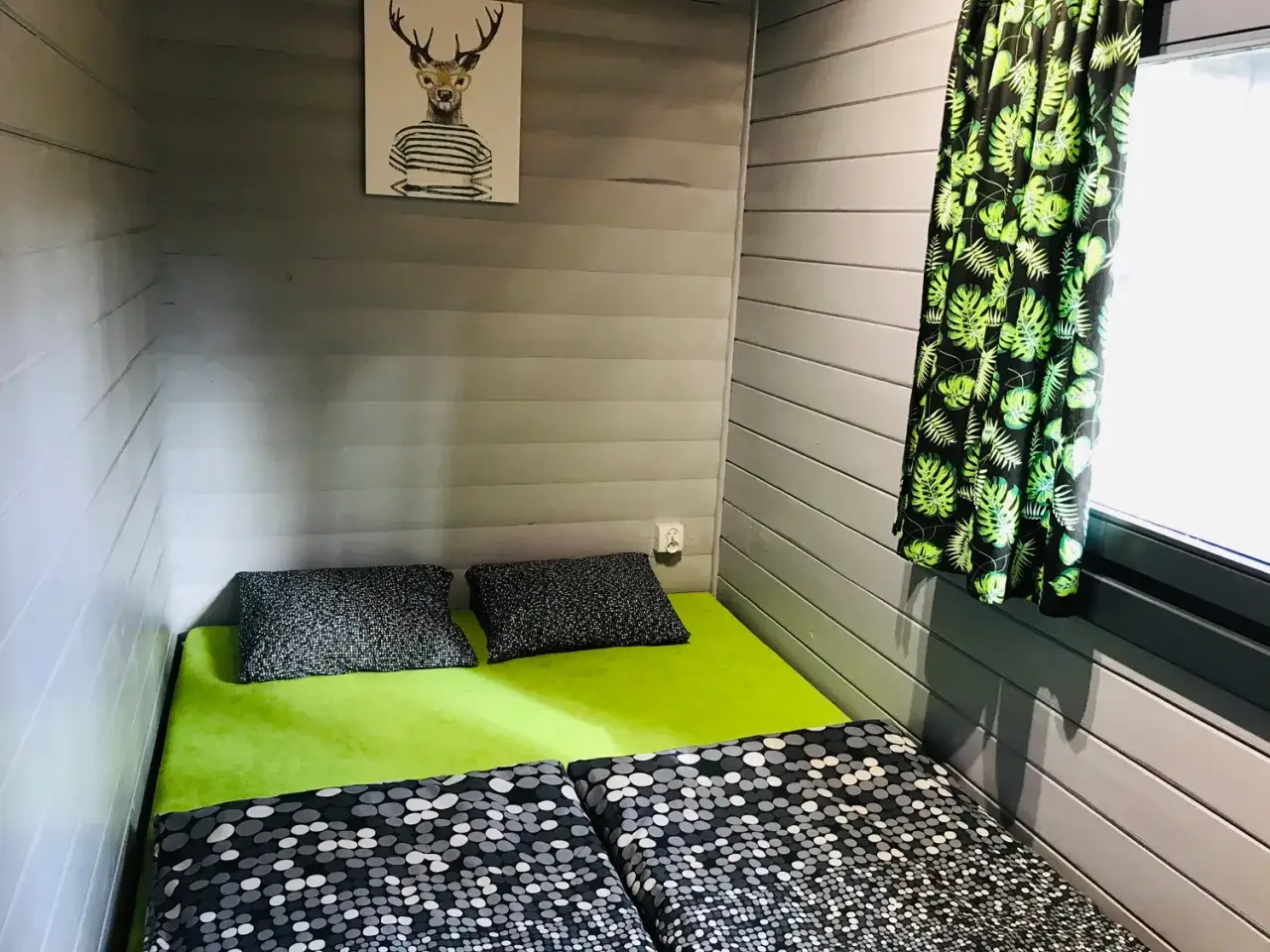 Nowy Dworek nad Paklickim: Urlop, wesele, ceny 2026 Kompletny przewodnik