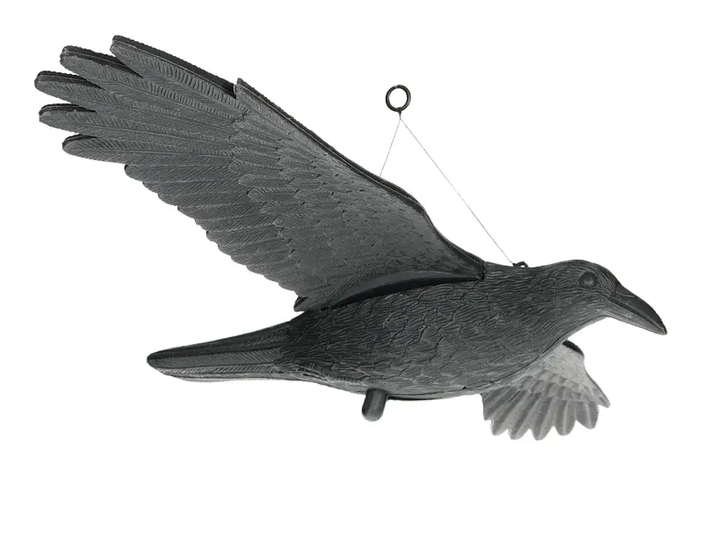 Jak zamontować kruka na balkonie, by skutecznie odstraszyć ptaki