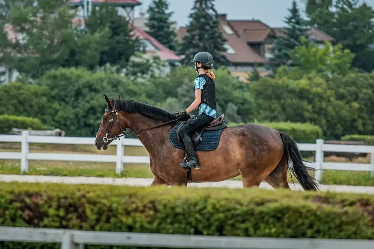 Ile kosztuje weterynarz dla konia? Cennik usług 2026