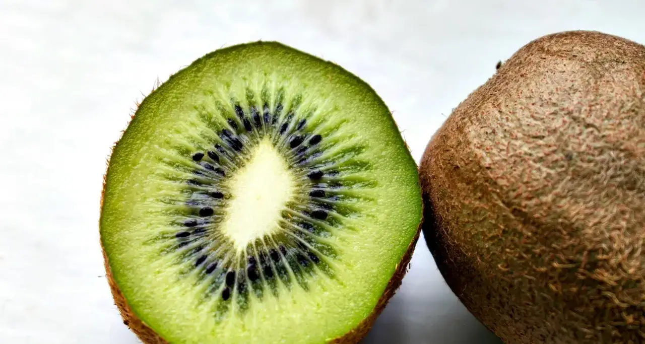 Czy pies może jeść kiwi? Bezpieczne sposoby na zdrowy przysmak