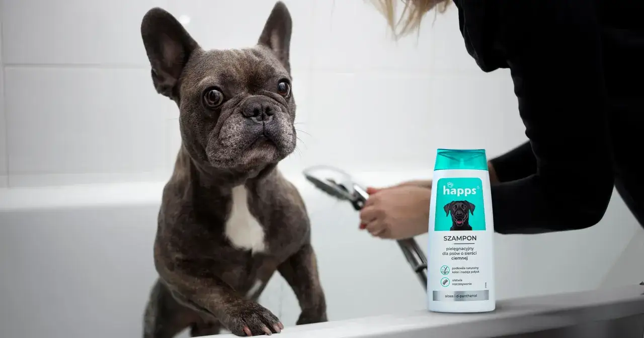 Mycie psa szamponem dla ludzi? Poznaj prawdę i bezpieczne alternatywy!