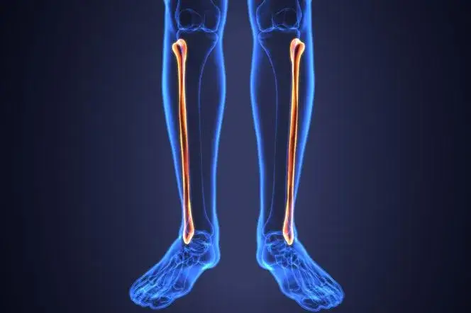 Co to goleń? Poznaj jej funkcje i zastosowania w kuchni oraz rehabilitacji