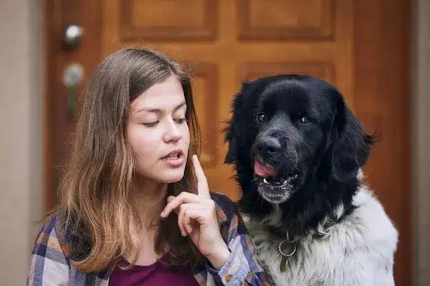 Kiedy szczeniak się uspokaja? Mapa rozwoju psa i rola właściciela